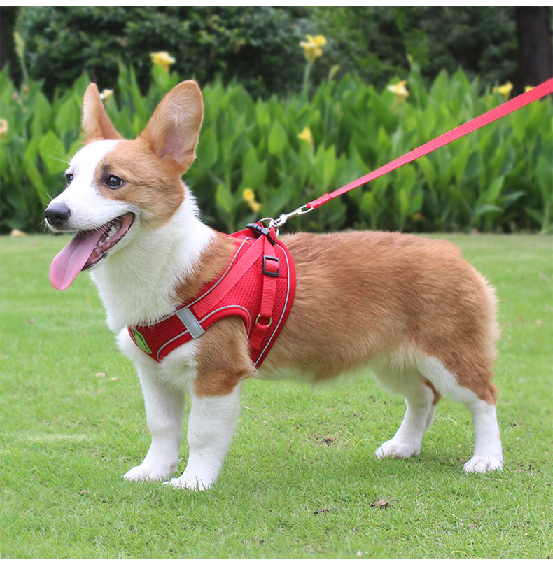 Amazon 新しいペットハーネス反射通気性犬リード子犬ハーネスペット用品卸売